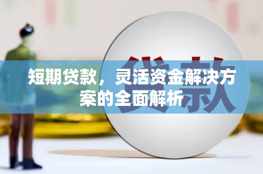 麒麟短期贷款，灵活资金解决方案的全面解析