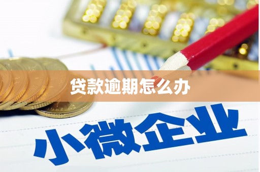 大竹贷款逾期怎么办