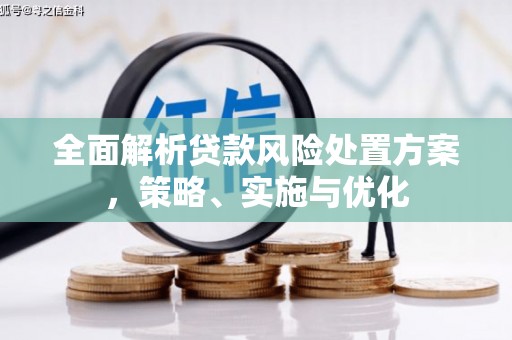 罗平全面解析贷款风险处置方案，策略、实施与优化