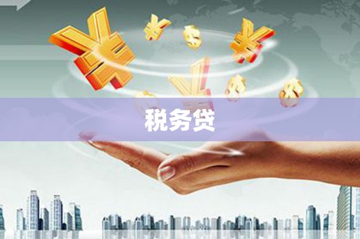 佳县税务贷
