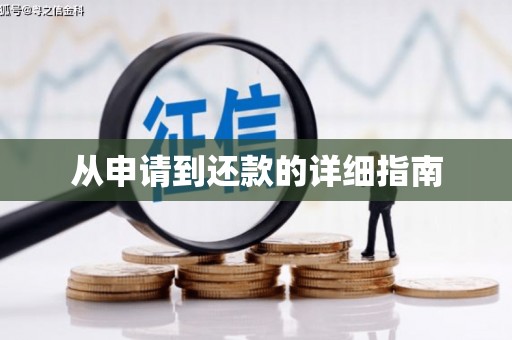 荥经从申请到还款的详细指南
