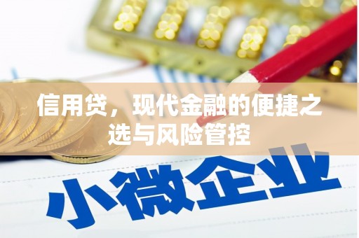 施甸信用贷，现代金融的便捷之选与风险管控