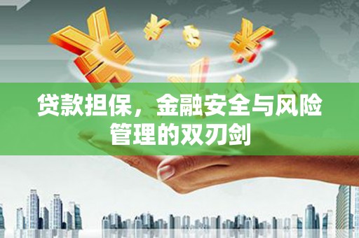 康定贷款担保，金融安全与风险管理的双刃剑