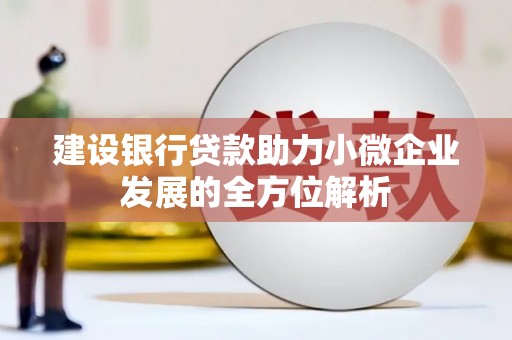 平南建设银行贷款助力小微企业发展的全方位解析