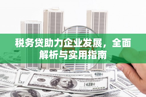 连云税务贷助力企业发展，全面解析与实用指南