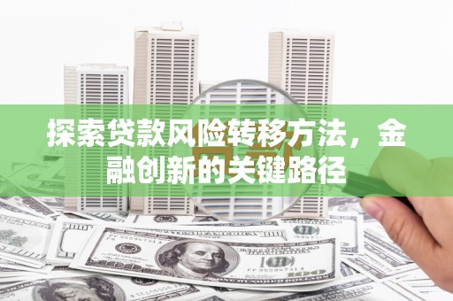 马龙探索贷款风险转移方法，金融创新的关键路径