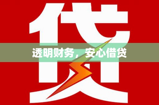 新园透明财务，安心借贷
