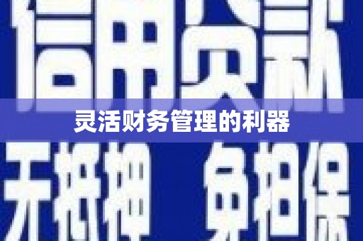蕉城灵活财务管理的利器
