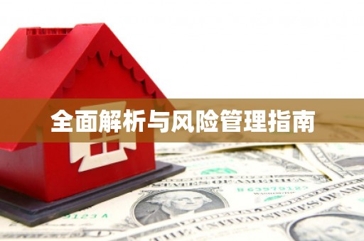 双河全面解析与风险管理指南