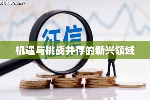 天元机遇与挑战并存的新兴领域