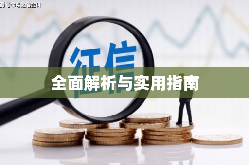 莱城全面解析与实用指南