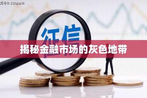 杂多揭秘金融市场的灰色地带