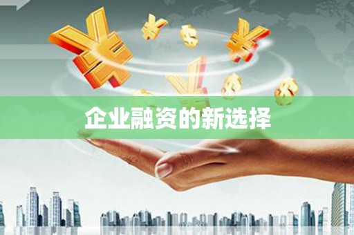 颍上企业融资的新选择