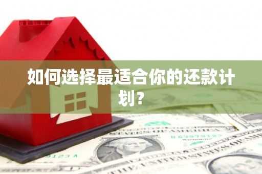 德庆如何选择最适合你的还款计划？