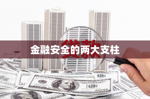 蓝山金融安全的两大支柱