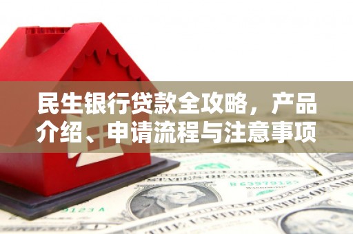 罗田民生银行贷款全攻略，产品介绍、申请流程与注意事项